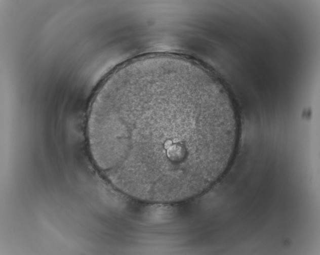 X0000111851314200909031718