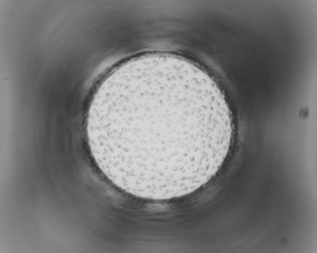 X0000111851315200909031718