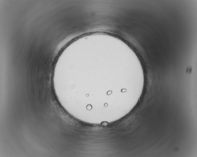 X0000111851316200909031718