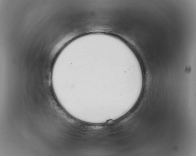 X0000111851317200909031718