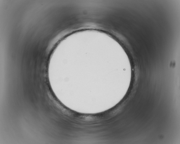 X0000111851318200909031718