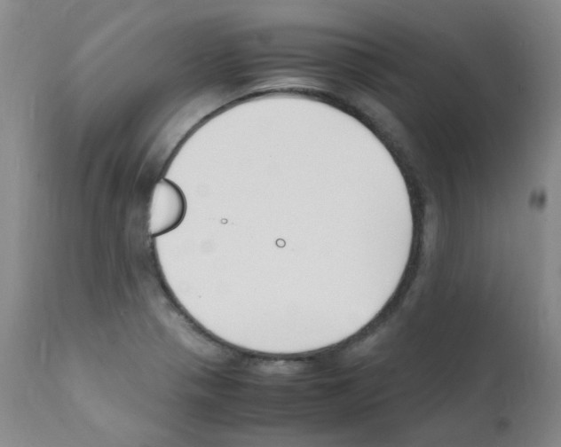 X0000111851321200909031718