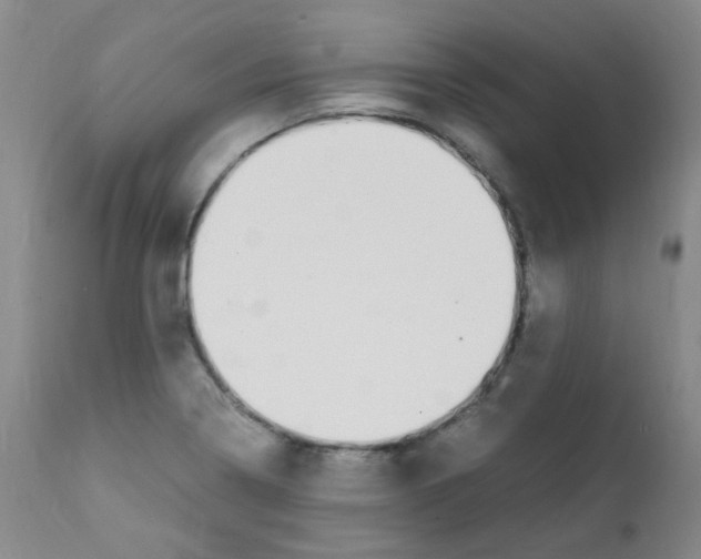 X0000111851322200909031718