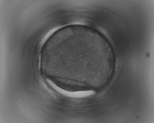 X0000111851323200909031718