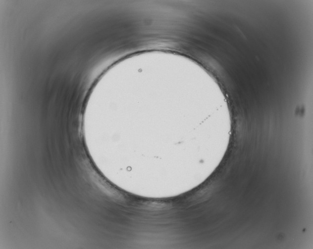 X0000111851324200909031718