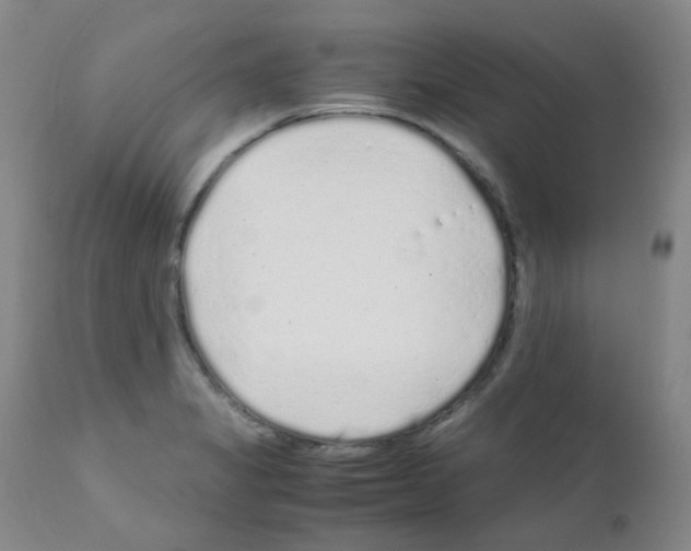 X0000111851325200909031718