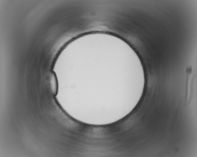 X0000111851326200909031718