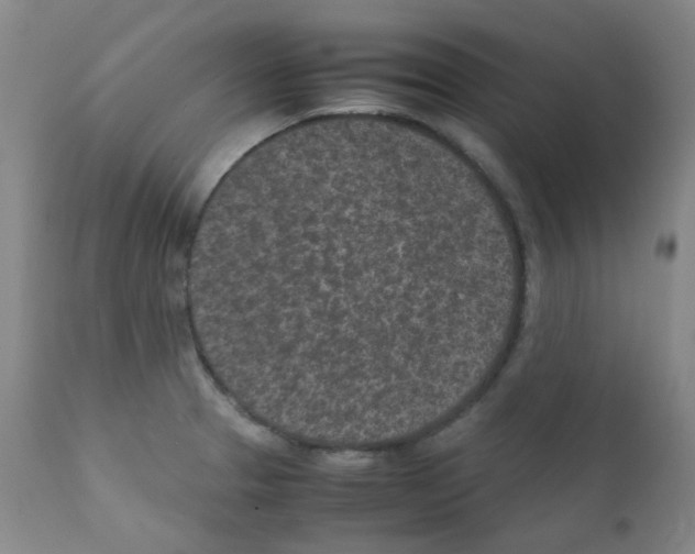 X0000111851329200909031718