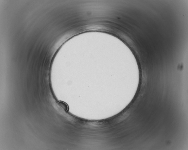 X0000111851330200909031718