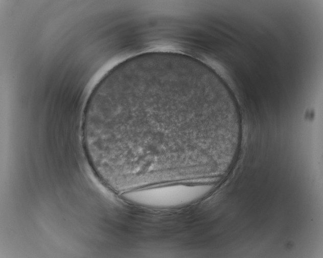 X0000111851331200909031718
