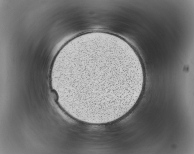 X0000111851333200909031718