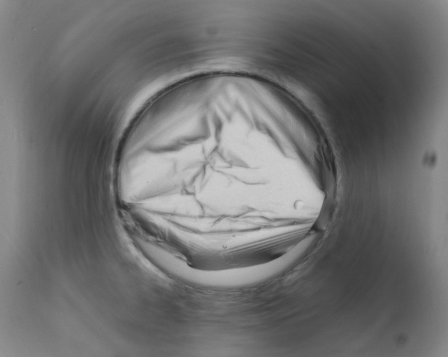X0000111851334200909031718