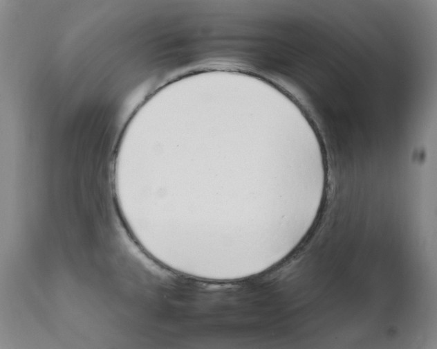 X0000111851335200909031718
