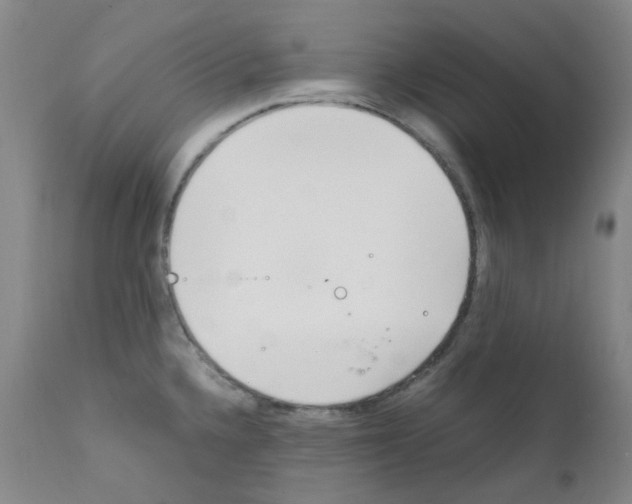 X0000111851336200909031718