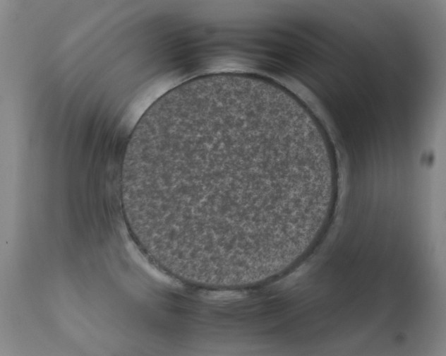 X0000111851337200909031718