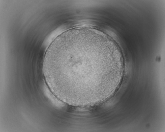 X0000111851338200909031718