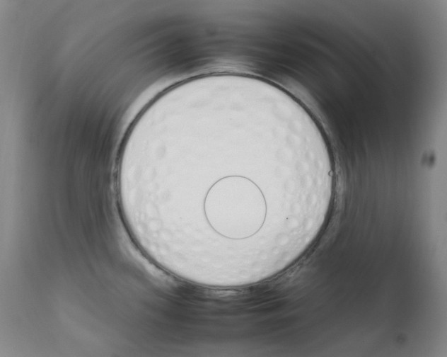 X0000111851339200909031718