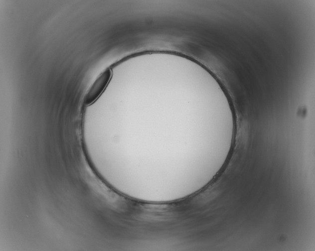 X0000111851342200909031718