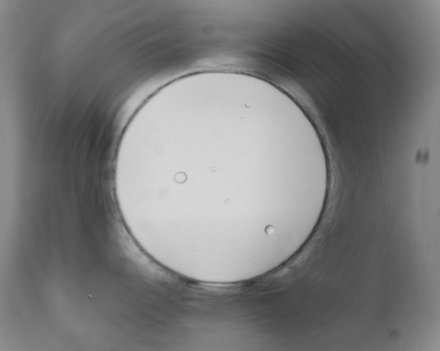 X0000111851344200909031718