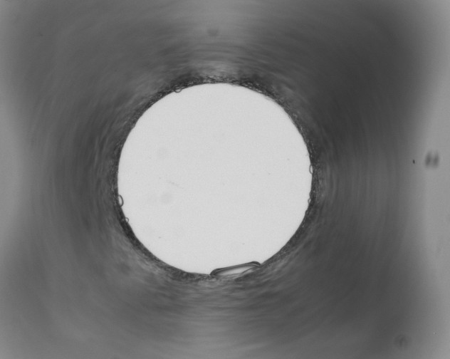 X0000111851345200909031717