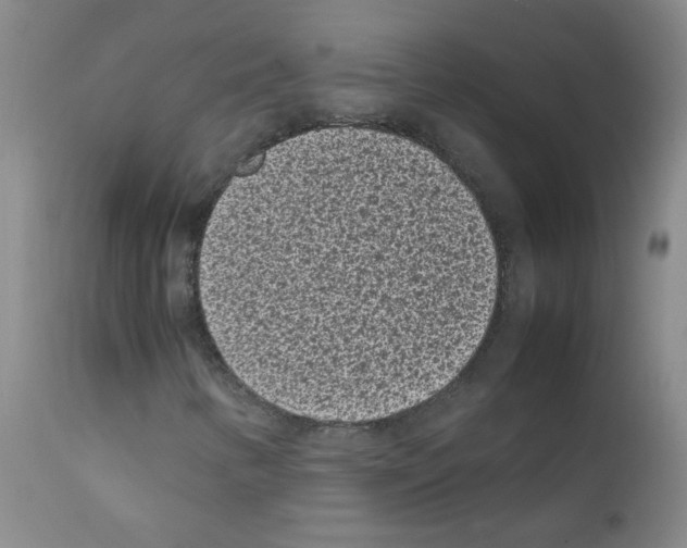 X0000111851346200909031717