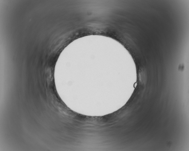 X0000111851347200909031717
