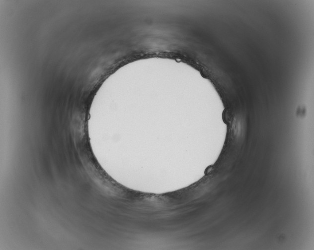 X0000111851348200909031717