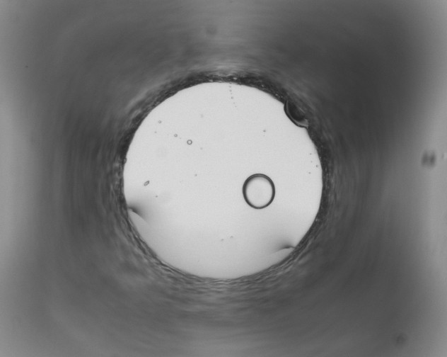 X0000111851349200909031717