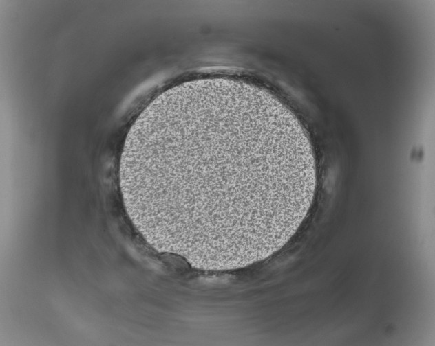 X0000111851351200909031717