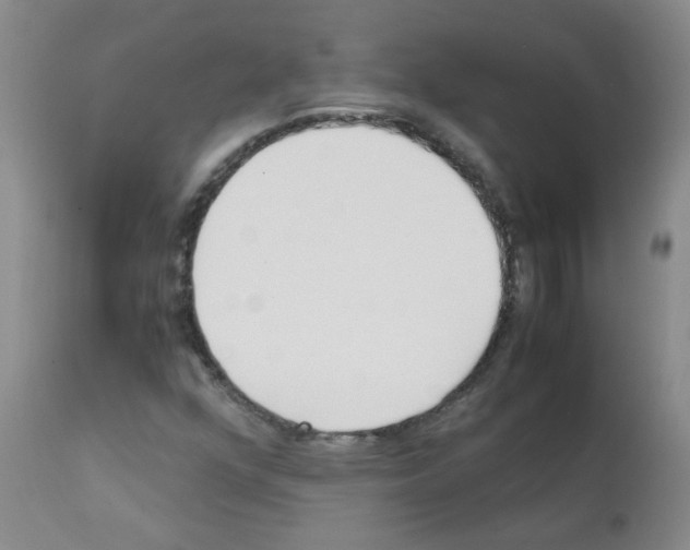 X0000111851352200909031717