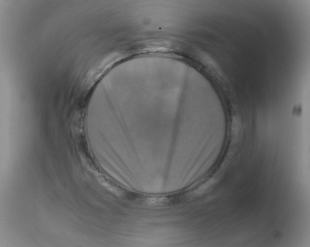 X0000111851353200909031717