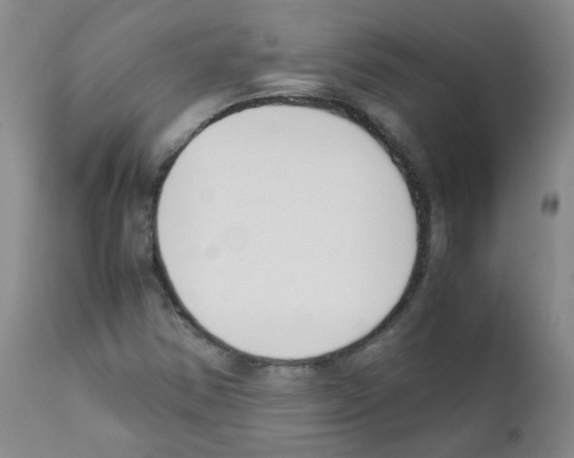 X0000111851354200909031717