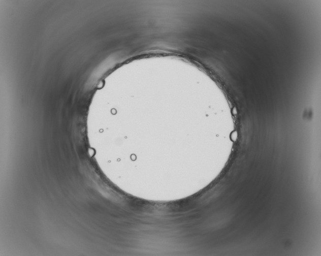 X0000111851355200909031717