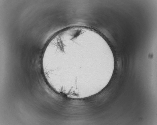 X0000111851356200909031717