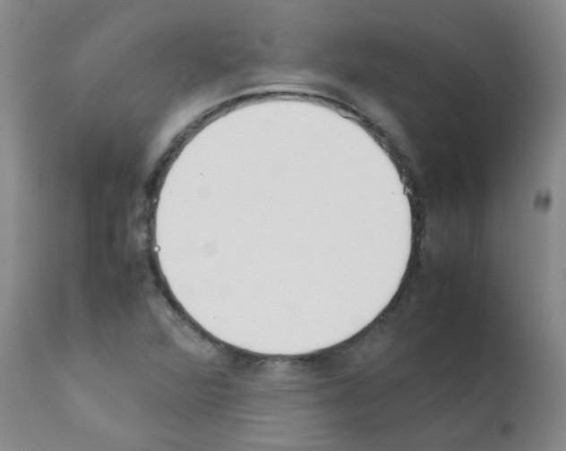 X0000111851360200909031717