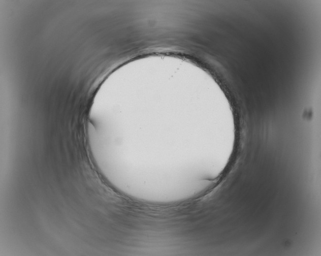 X0000111851361200909031717