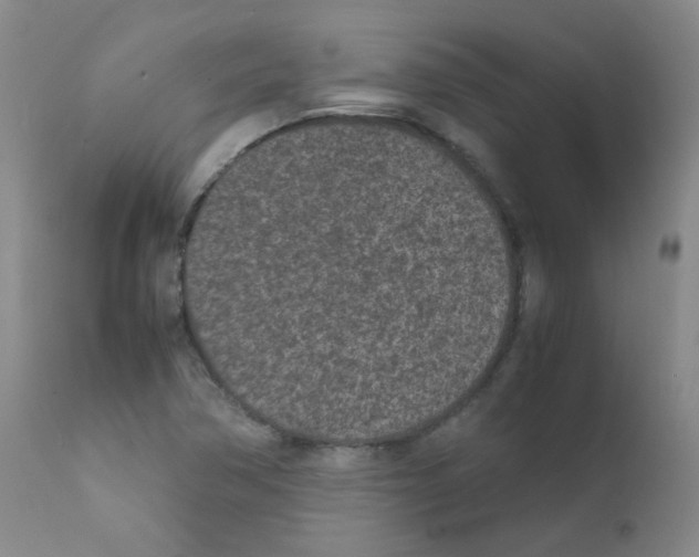 X0000111851362200909031717