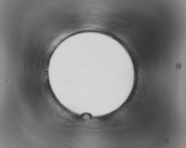 X0000111851363200909031717