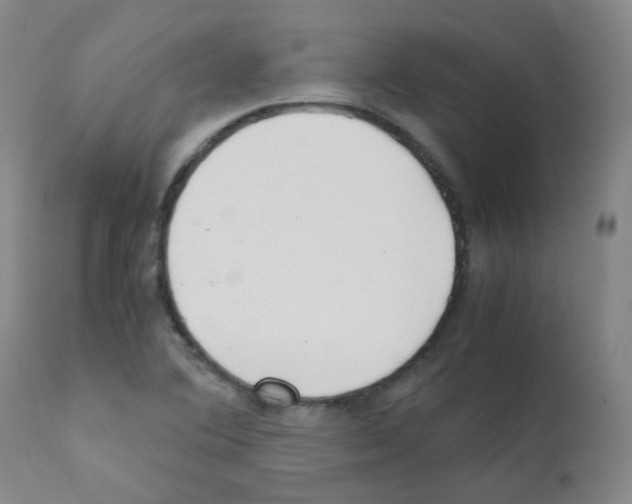 X0000111851364200909031717