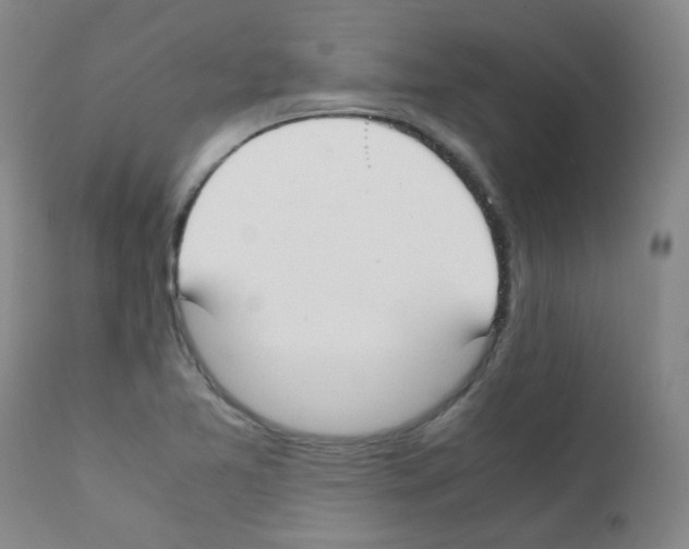 X0000111851365200909031717