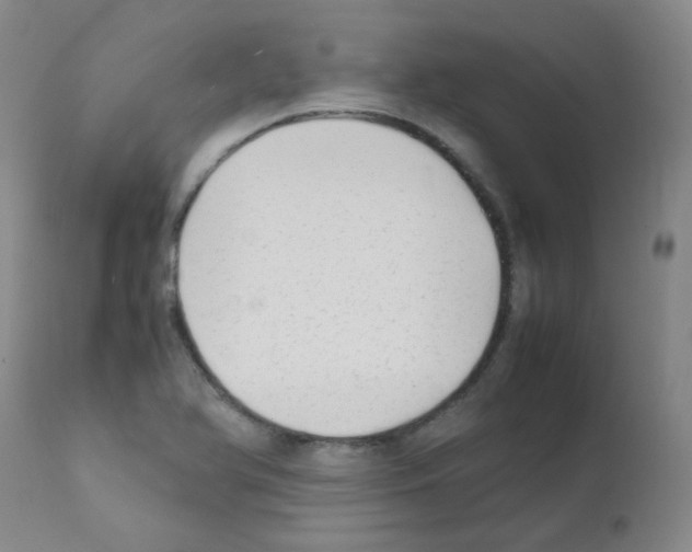 X0000111851366200909031717