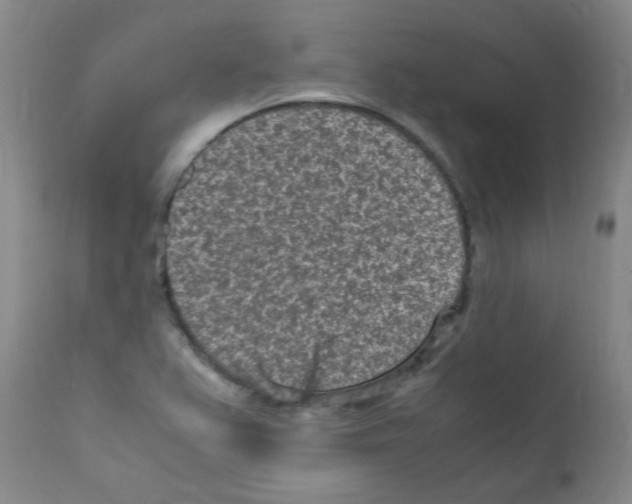 X0000111851367200909031717