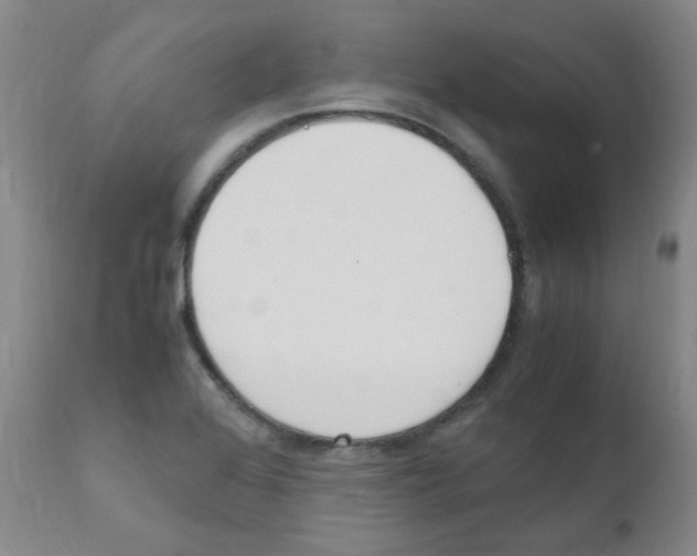 X0000111851368200909031717