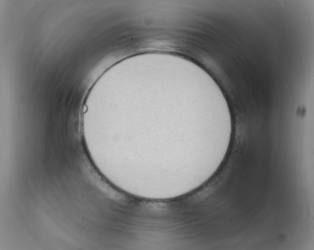 X0000111851370200909031717