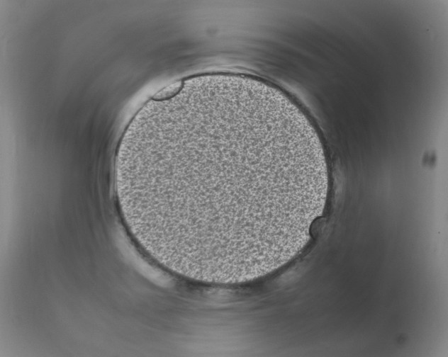 X0000111851371200909031717