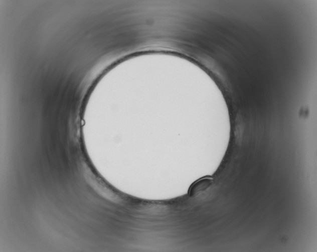 X0000111851372200909031717