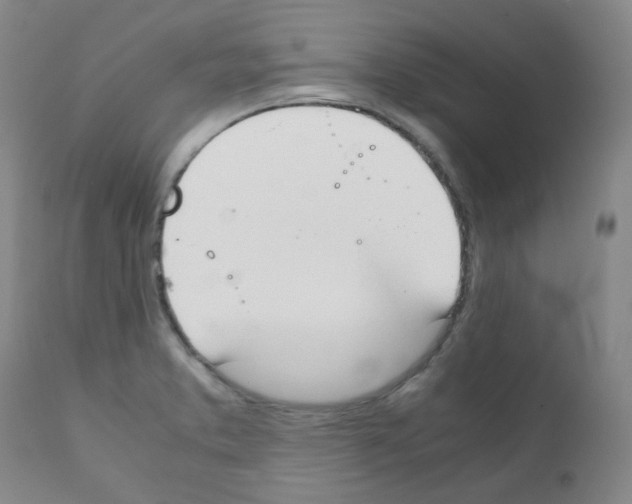 X0000111851373200909031717
