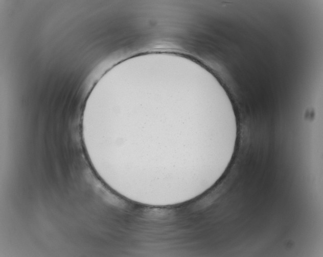 X0000111851374200909031717