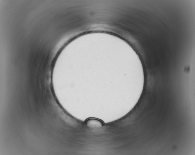 X0000111851376200909031717