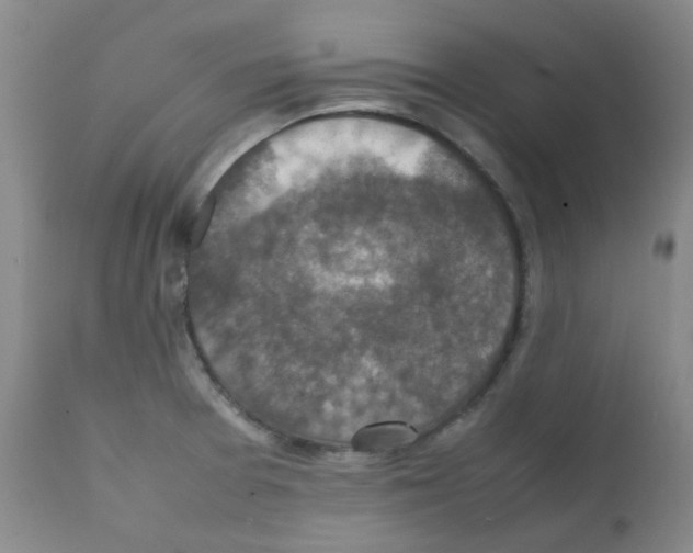 X0000111851377200909031717